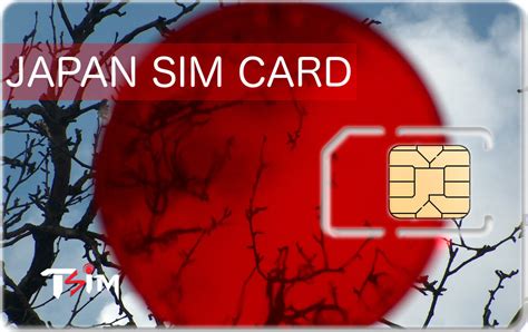 smart sim card roaming in japan|sim card for japan.